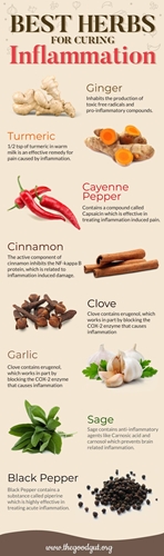 Anti inflammatory herbs picture