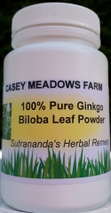 Ginkgo biloba bottle