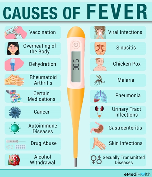 Fever causes chart picture