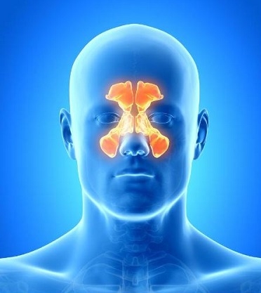 Nasal congestion picture