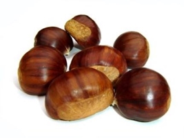 Horse chestnut picture